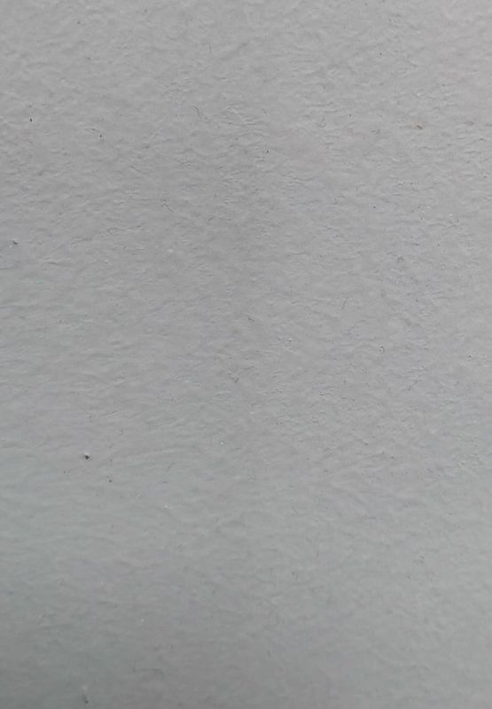 Eggoljetempera laserende maling